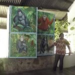 Sortie Bonobos